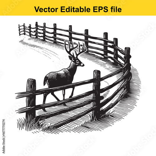 A whitetail a majestic buck deer stands behind a rustic wooden fence in a snowy landscape