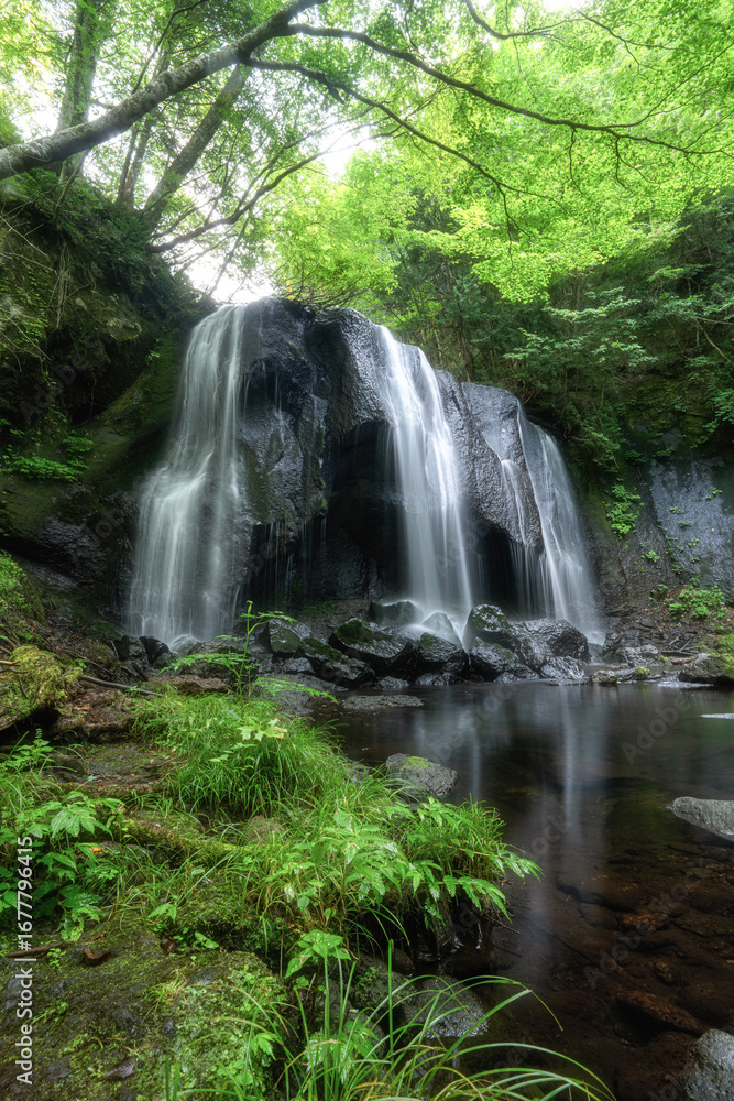 Fototapeta premium 新緑の達沢不動滝 