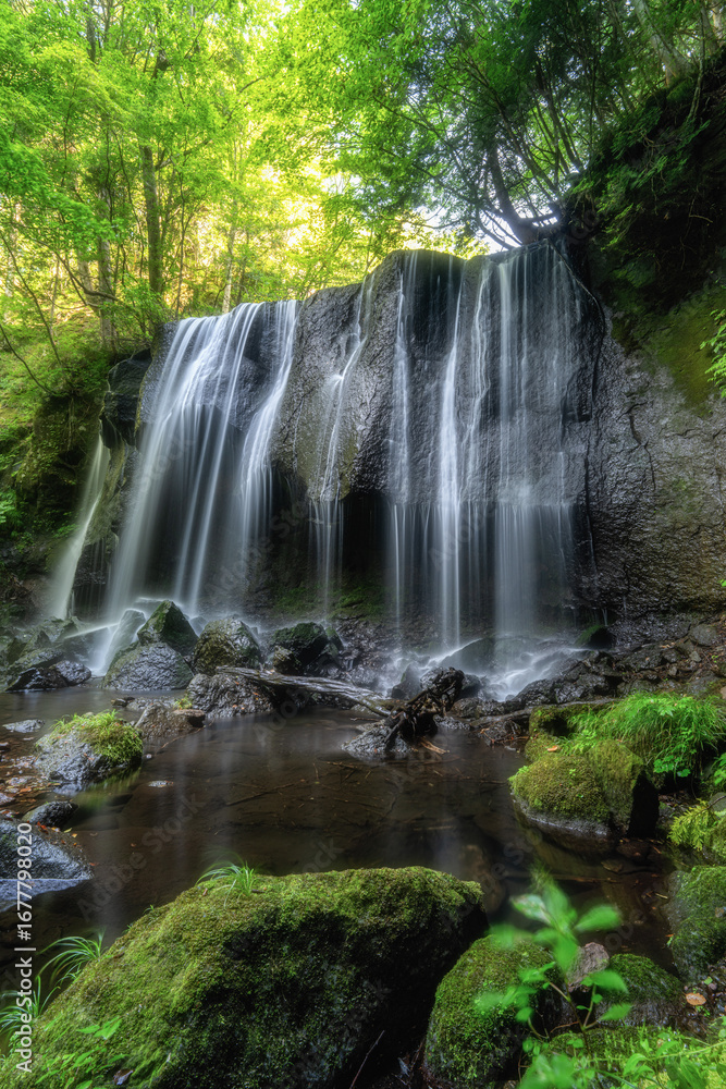 Naklejka premium 新緑の達沢不動滝 