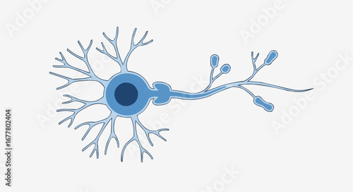 Health, medicine and nursing vector  illustration of a neuron cell diagram with dendrites axon and cell body for biology education and science
