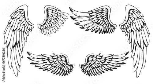 Elegant angel wings illustration for logos, tattoos, or fantasy designs offering a heavenly, ethereal touch