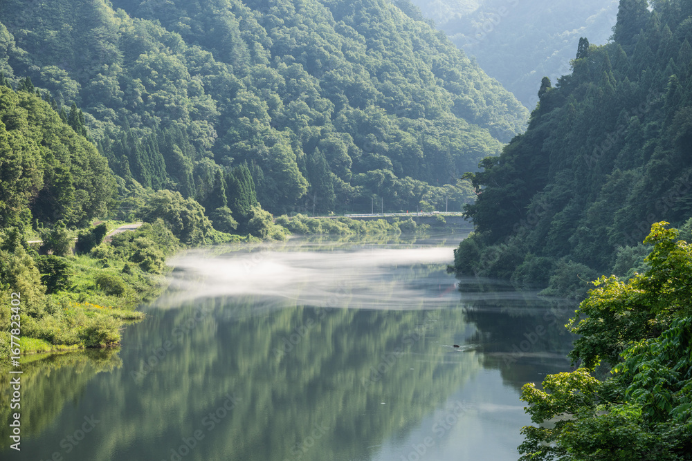 Fototapeta premium 新緑の只見川の朝 