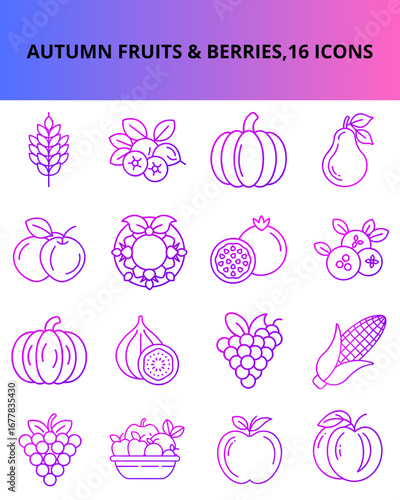 Autumn fruits and berries illustrated icons in colorful design  