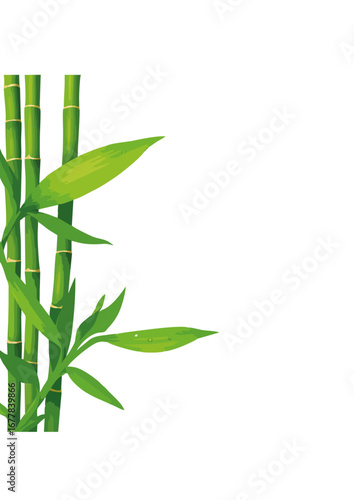 Green Bamboo Stalks and Leaves