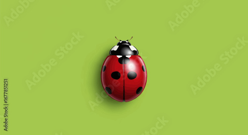 Close-up of a ladybug on a green background.