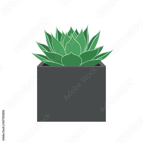 A fresh, green succulent plant in a minimalist gray square pot, representing home decor, gardening, and nature in a clean vector illustration.