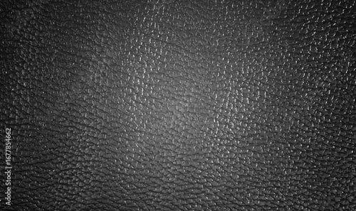 Wallpaper Mural Black leather sofa Torontodigital.ca