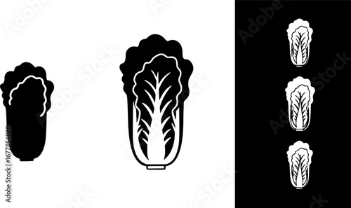 Illustration of Chinese cabbage icon cabbage isolated on white background
