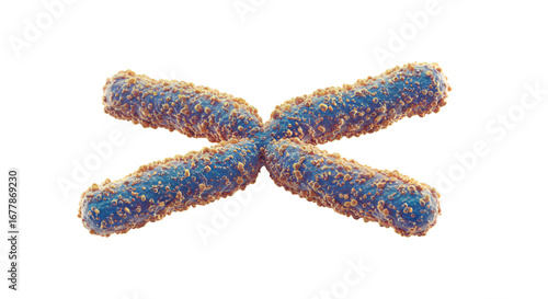 The intricate dance of a chromosome a blueprint of life under intense scientific study rendered in