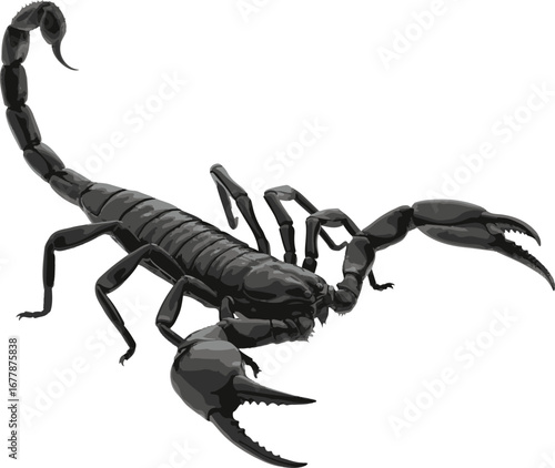 scorpion isolated on white background