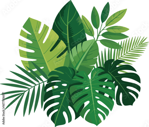 palm tree leaves