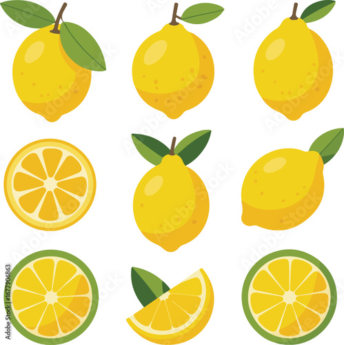 set of citrus fruits
