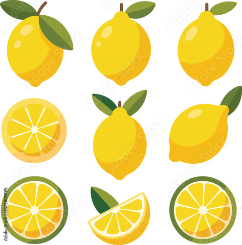 set of citrus fruit