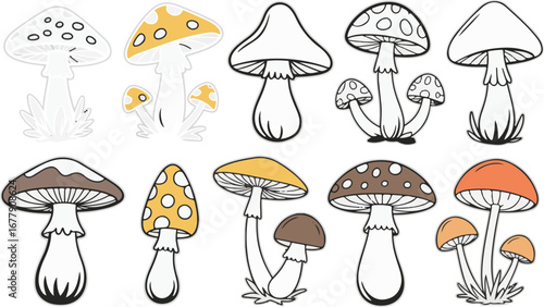 set of mushrooms