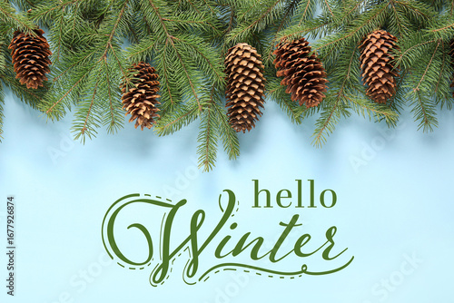 Pine cones and fir branches...