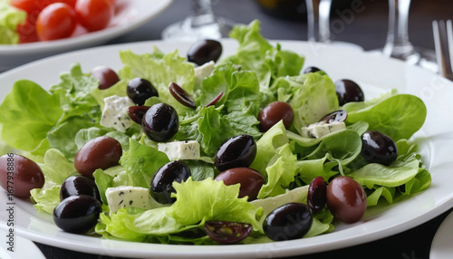 Tasty French Salad Restaurant