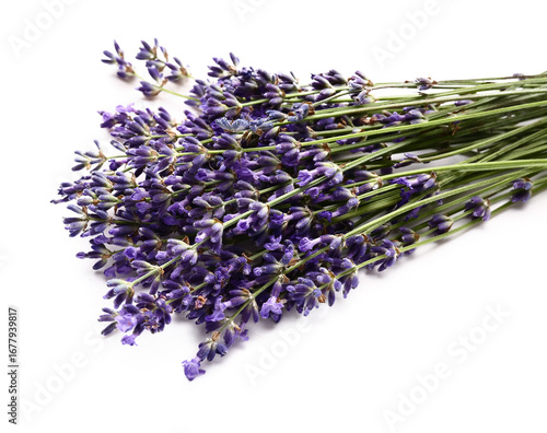 Bunch of beautiful lavender...