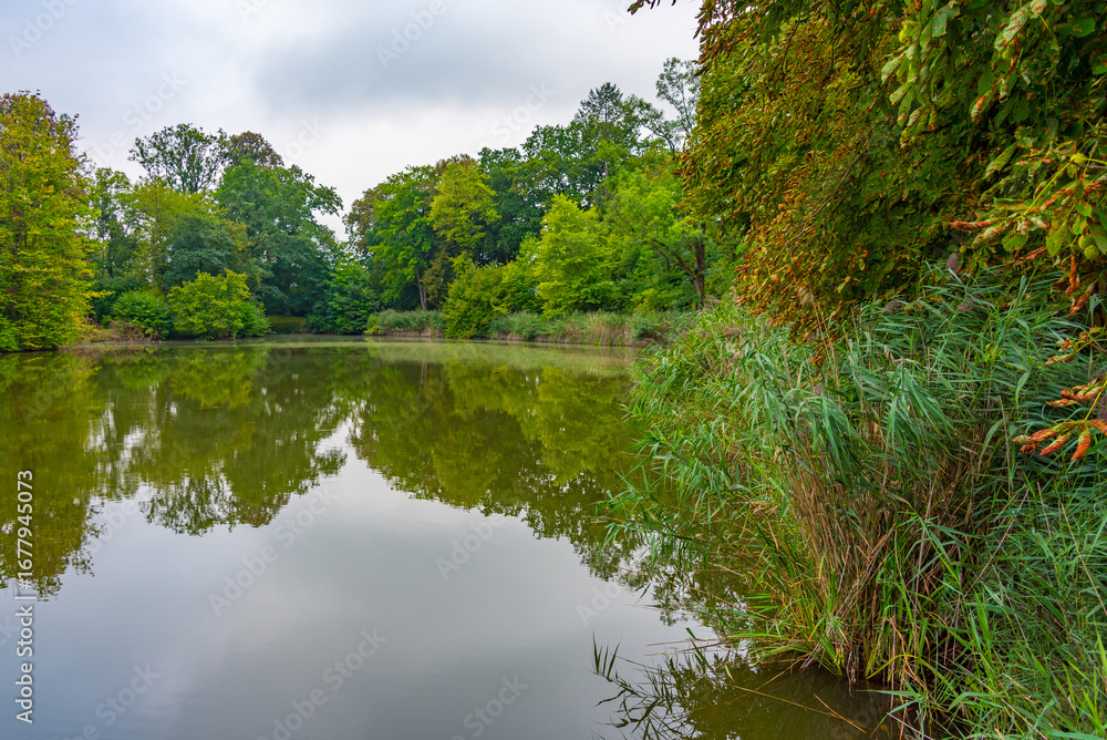 Fototapeta premium Park at Krasiczyn castle in Poland