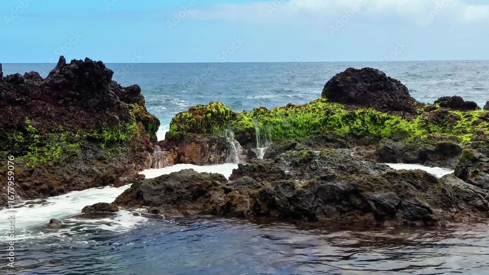 Fototapeta premium Lush Coastal Rocks Surrounded by Beautiful Ocean Waves, Perfect for Photography and Exploration