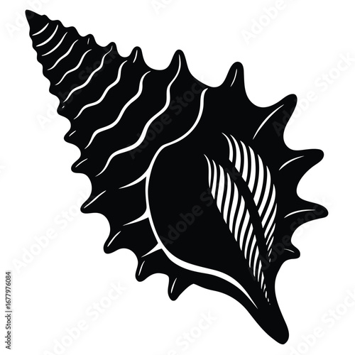 Black Silhouette of a Spiky Seashell with Detailed Interior on White Background black and white illustration