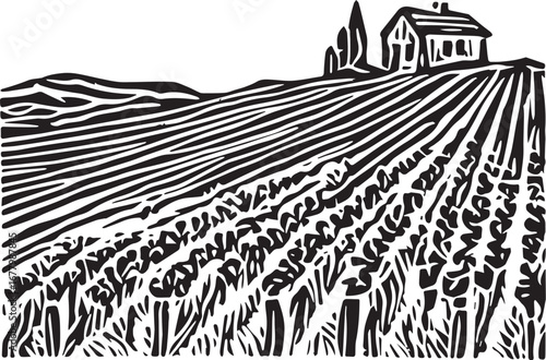 Vineyard View: A quaint farmhouse overlooks a vast vineyard, rows of grape vines stretch across the rolling hills. The detailed woodcut style evokes a sense of rustic simplicity.