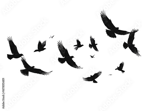Minimalist Silhouette of Flying Birds, Modern Nature Design, isolated on transparent background PNG