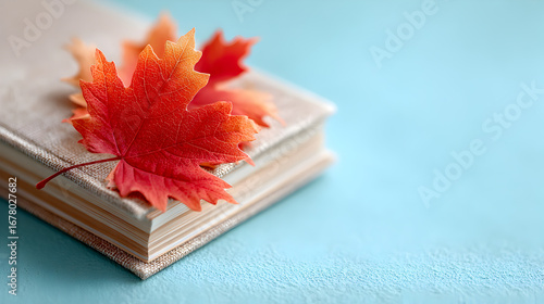 Autumn leaves resting on a stack of books with a soft blue background, creating a cozy atmosphere for seasonal reading and reflection. Selective focus