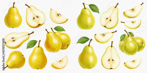 A collection of ripe yellow and green pears, shown whole, halved, and sliced on a transparent background.