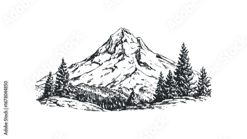 Hand-drawn sketch of a majestic snow-capped mountain peak with evergreen trees. Vector hand drawn illustration