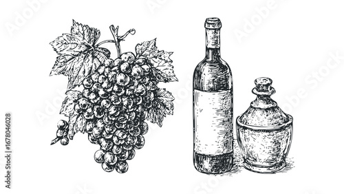 Hand drawn grape cluster, wine bottle, and decanter in sketch style. Vector hand drawn illustration