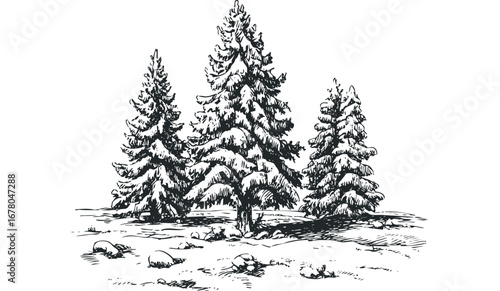 Black and white sketch of snow covered evergreen trees with rocks. Vector hand drawn illustration