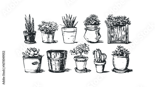 Collection of Potted Plants in Various Containers. Vector hand drawn illustration