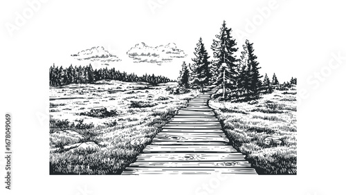 Wooden boardwalk path through grassy meadow towards forest and sky. Vector hand drawn illustration