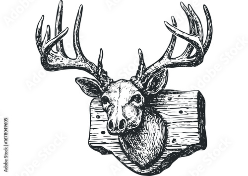 Detailed sketch of a mounted deer head trophy with large antlers on a wooden plaque. Vector hand drawn illustration