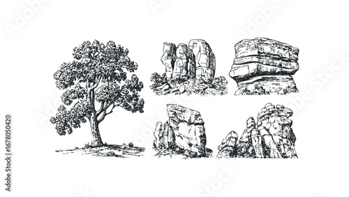 Line art drawings of a large oak tree and various rock formations. Vector hand drawn illustration