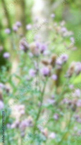 Wallpaper Mural Bees Pollinating Thistle Flowers in Sunlit Garden Torontodigital.ca