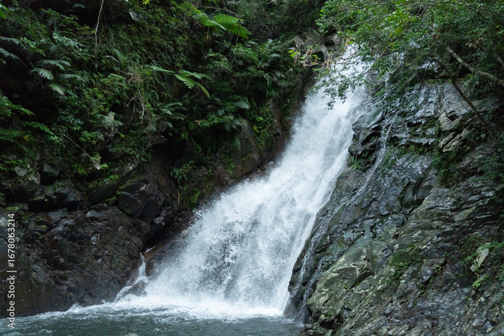 Naklejka premium やんばるの森の比地大滝