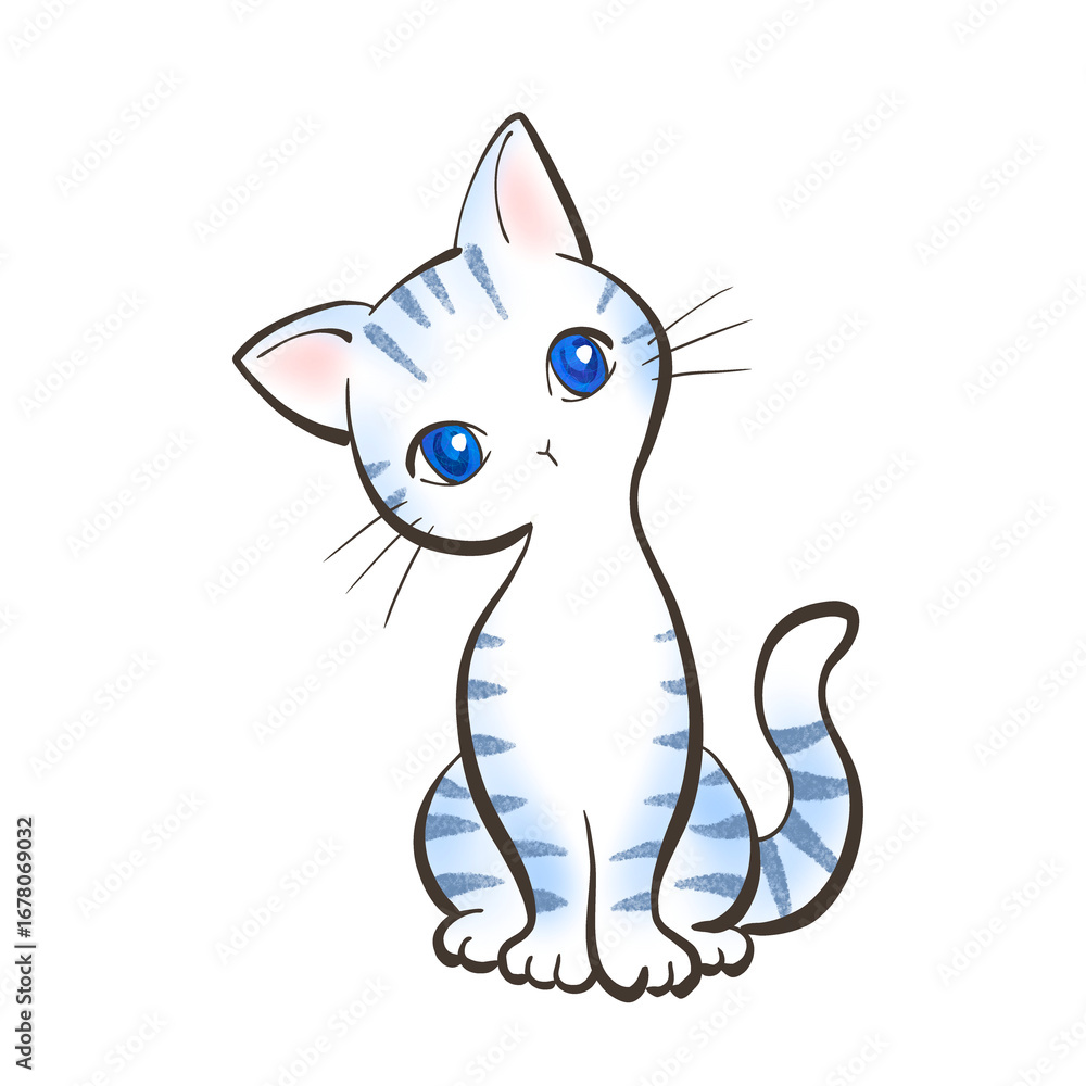 Fototapeta premium cat 64