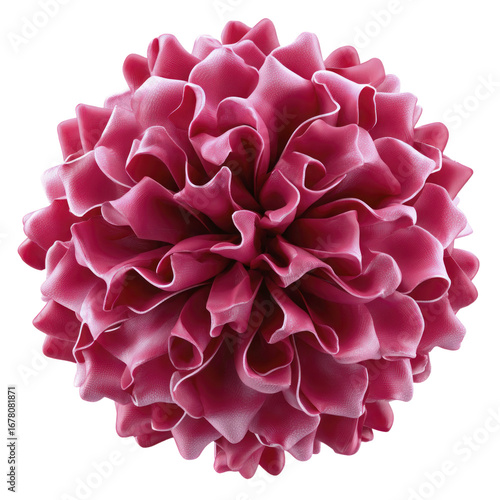 Intricate Deep Pink Flower With Delicate Ruffled Petals And A Bright White Edge On A Transparent Background