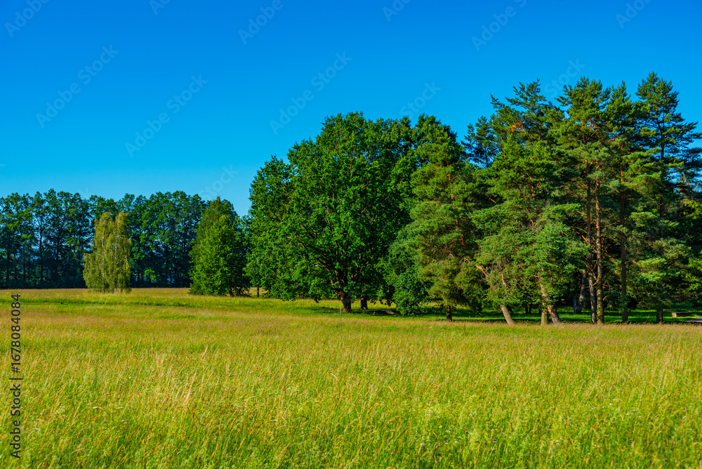Fototapeta premium Spar park in Czech town Trebon