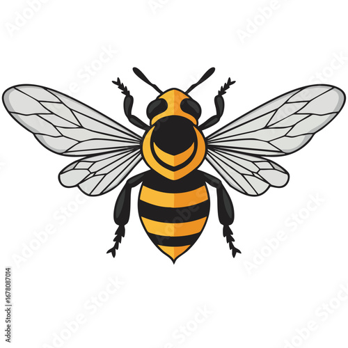 Illustration of a bee with yellow and black stripes and transparent wings.