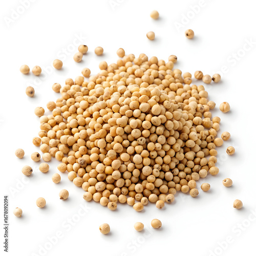 Close-up of sorghum grains isolated on a white background, showcasing their small round shape