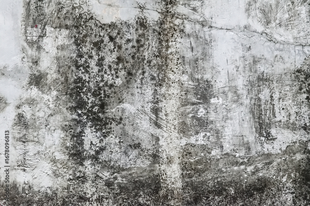 Obraz premium Texture, concrete, it can be used as a background. Grey or gray cement wall with scratches and cracks. Weathered. Black. Dark. Sstkbackgrounds. Copy space, empty, free, negative, text, design.