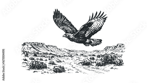 Line drawing of a hawk flying over a desert landscape with buttes and shrubs. Vector hand drawn illustration