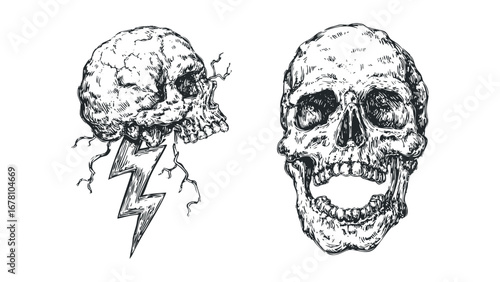 Vintage distressed sketch of a skull with lightning bolt and fragmented branches. Vector hand drawn illustration