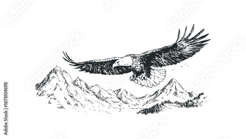 Sketchy Eagle Soaring Over Jagged Mountain Peaks. Vector hand drawn illustration