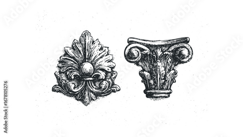 Ornate architectural relief elements with volutes and acanthus leaves. Vector hand drawn illustration