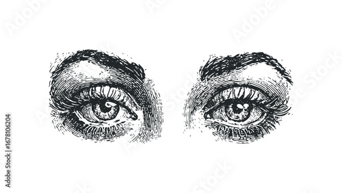 Black and white close up engraving of two human eyes with detailed lashes and brows. Vector hand drawn illustration