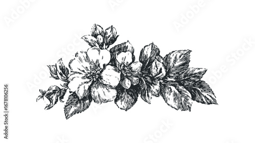 Detailed Black and White Floral Arrangement with Leaves. Vector hand drawn illustration