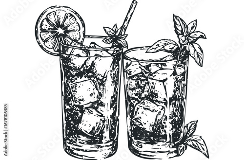 Two refreshing ice-filled drinks with lemon slice and mint garnish. Vector hand drawn illustration